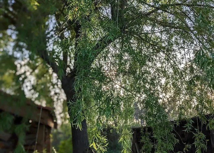 Ti'plage, Piscine Privative, Proche Ocean