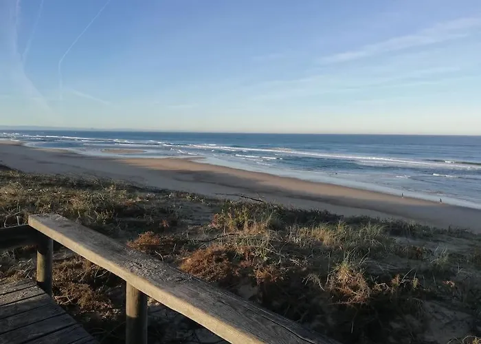 Ti'plage, Piscine Privative, Proche Ocean 빌라 Saint-Paul-en-Born